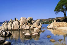 Jinnianhui-包含风云突变广东宏远今夜临场应变；社区盾版图或变；质疑声仍在；心理建设被强调的词条